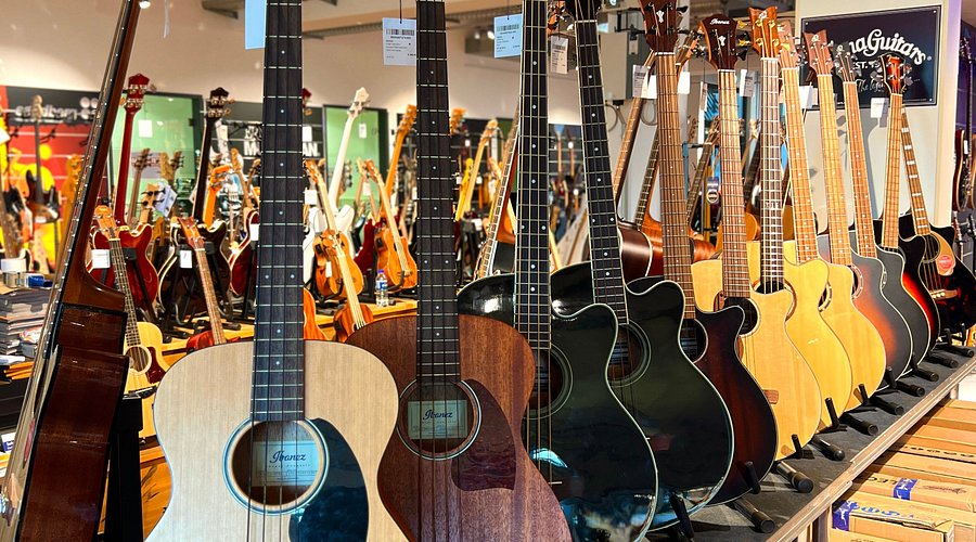 muziekwinkel gitaren