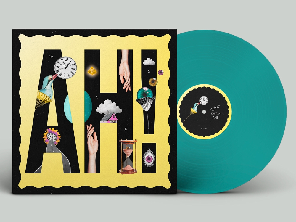 anja's vinyl